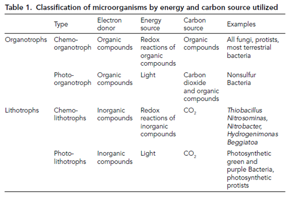 Which Is Most Common High Energy Compound